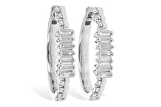 L328-13976: EARR .20 TW BAGUETTES